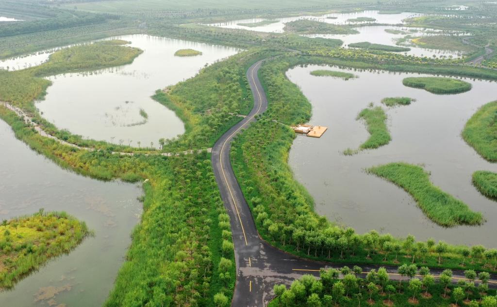 微信图片_20220402152030.jpg 微信图片_20220402152030.jpg